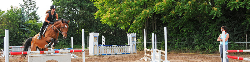 Unterricht im Springreiten mit Edda Baum auf dem Springplatz der Reitanlage Edda Baum