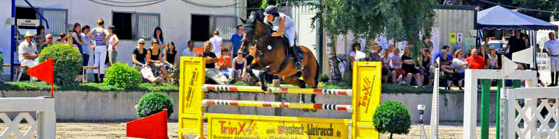 Edda Baum auf Avanti beim Springreiten bei einem Springturnier, Pferdesport, Turnier