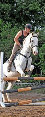 Dressur- und Reitunterricht für ambitionierte Freizeitreiter und Turnierreiter. 